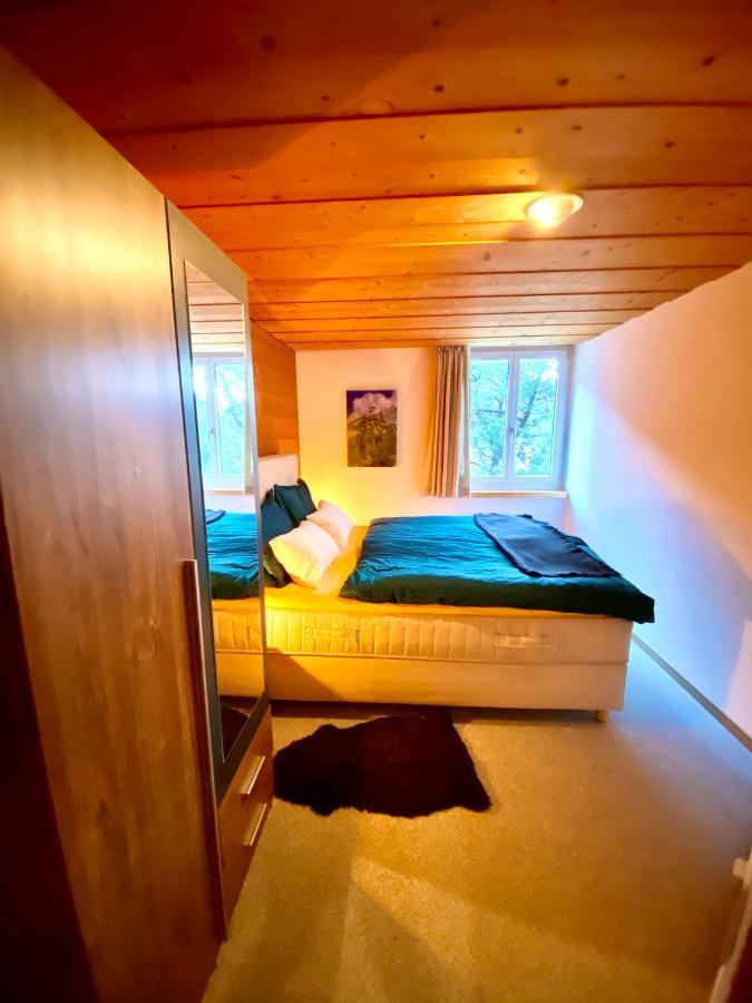 Appartement Aareschlucht- Grandiose Aussicht Fuer 2-6 Pers. Meiringen Exteriér fotografie