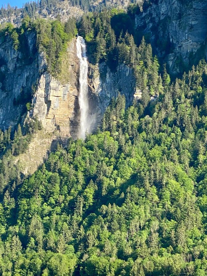 Appartement Aareschlucht- Grandiose Aussicht Fuer 2-6 Pers. Meiringen Exteriér fotografie