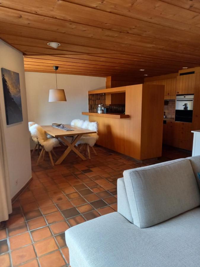 Appartement Aareschlucht- Grandiose Aussicht Fuer 2-6 Pers. Meiringen Exteriér fotografie